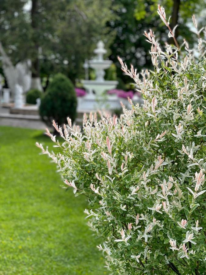 Provans Bohorodchany Εξωτερικό φωτογραφία